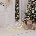 Reindeer with sleigh Christmas lighting 160 LED figure illuminated figure
