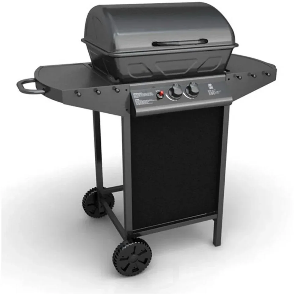 Gas grill with 2 cooking burners black