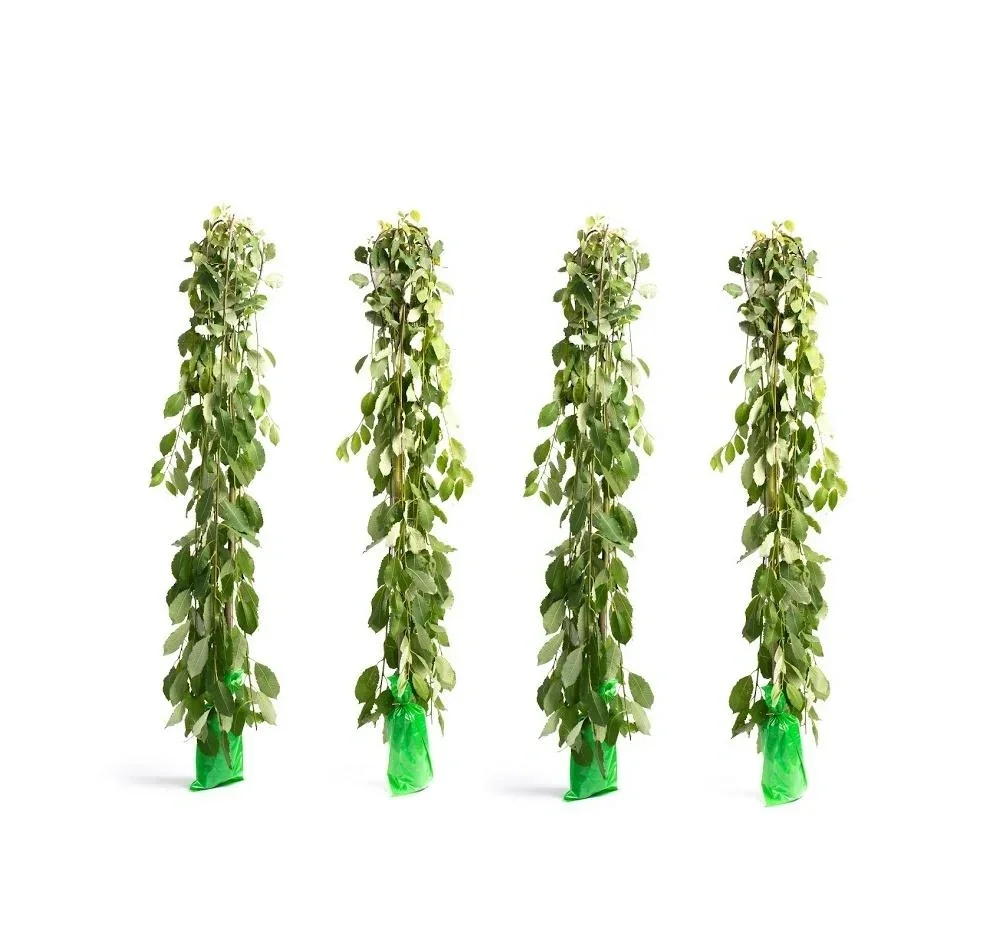 Flower-up set of 4 XXL mourning willows 120 - 140 cm