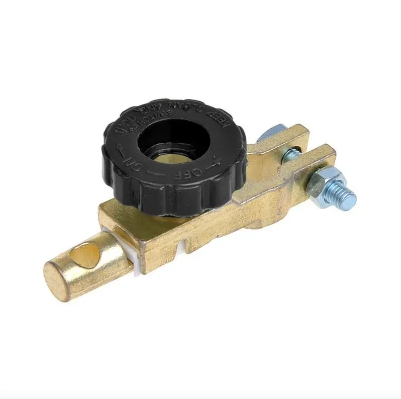 Battery disconnect switch