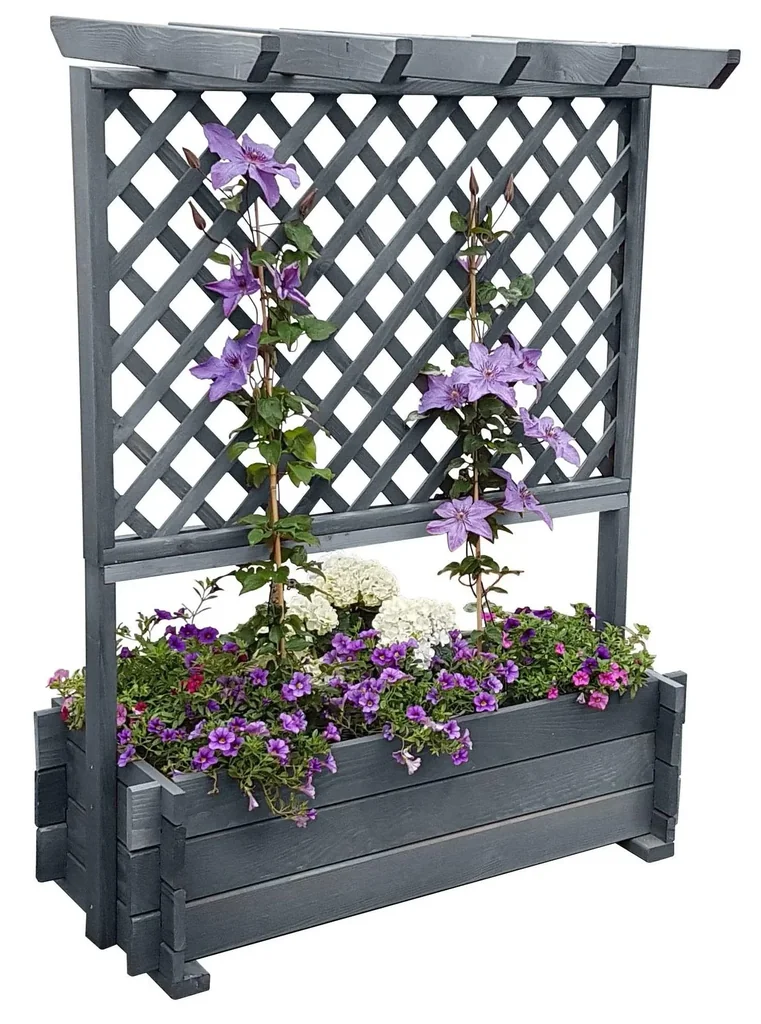 Frames with Pergola 102/200, Grau