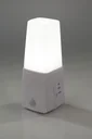 LED night light with motion sensor and warm white LEDs