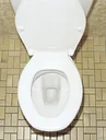 Toilet cleaning tablets "Swiss Tabs", thorough cleaning, 20 tablets
