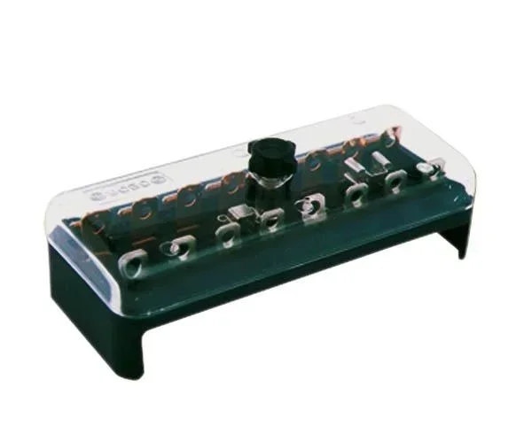Fuse box for 12 fuses