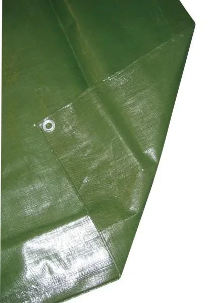 PolyGuard tarpaulin 3 x 4 m