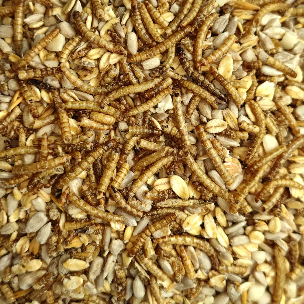 Karma dla ptaków 20 kg, Deluxe, z larwami mącznika, bez łupin dla dzikich ptaków