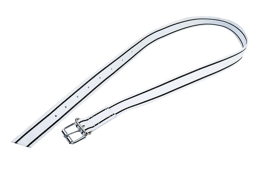 Marking collar with roller buckle - for cows and bulls