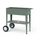 Herb factory olive green