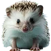 Obraz Karma Dla Jeży