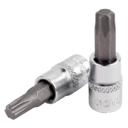 Obraz Nasadki Torx