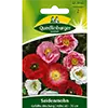Obraz Nasiona + Nasiona