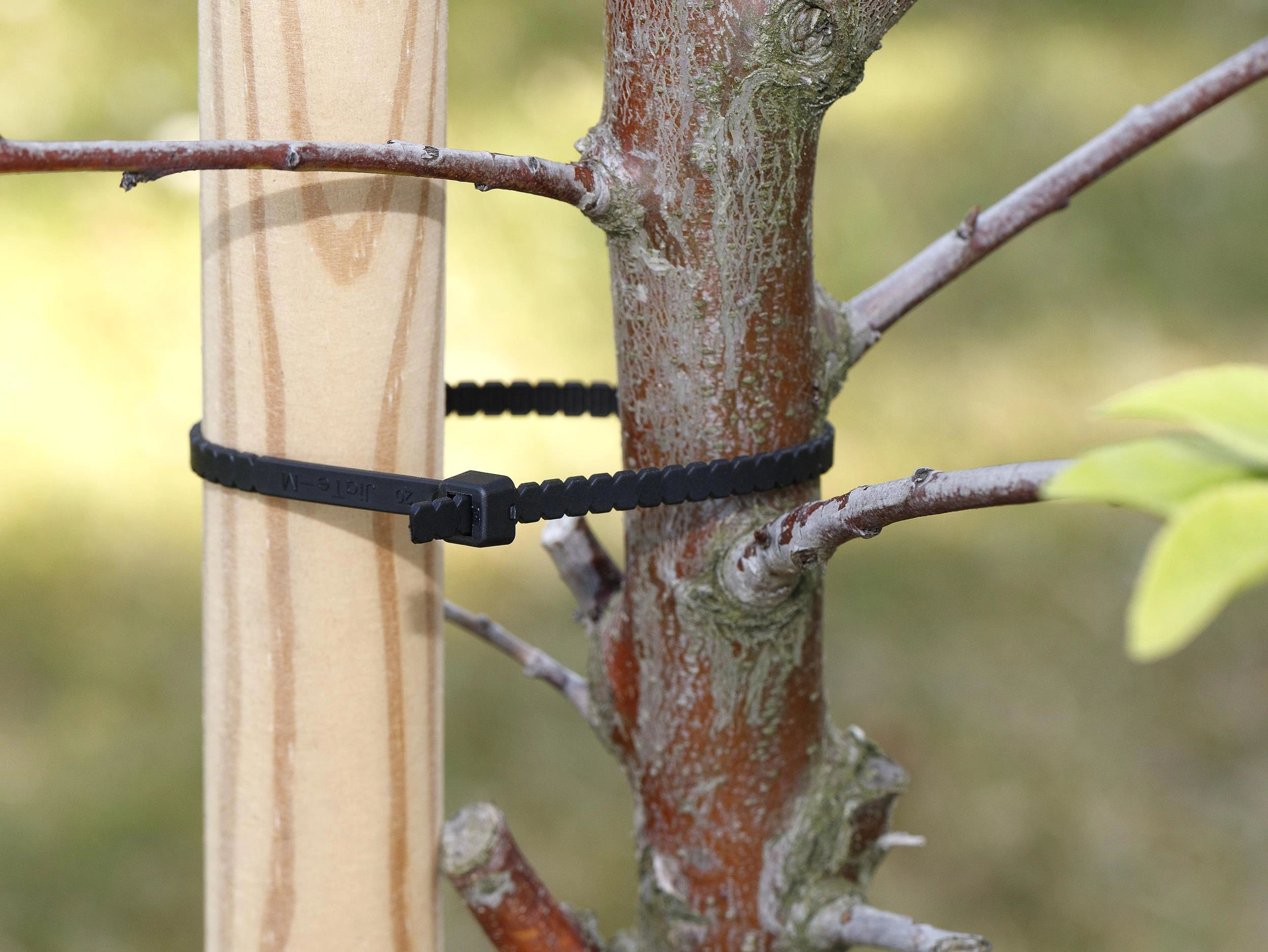 Obraz Wire End Ferrules, Cable Ties
