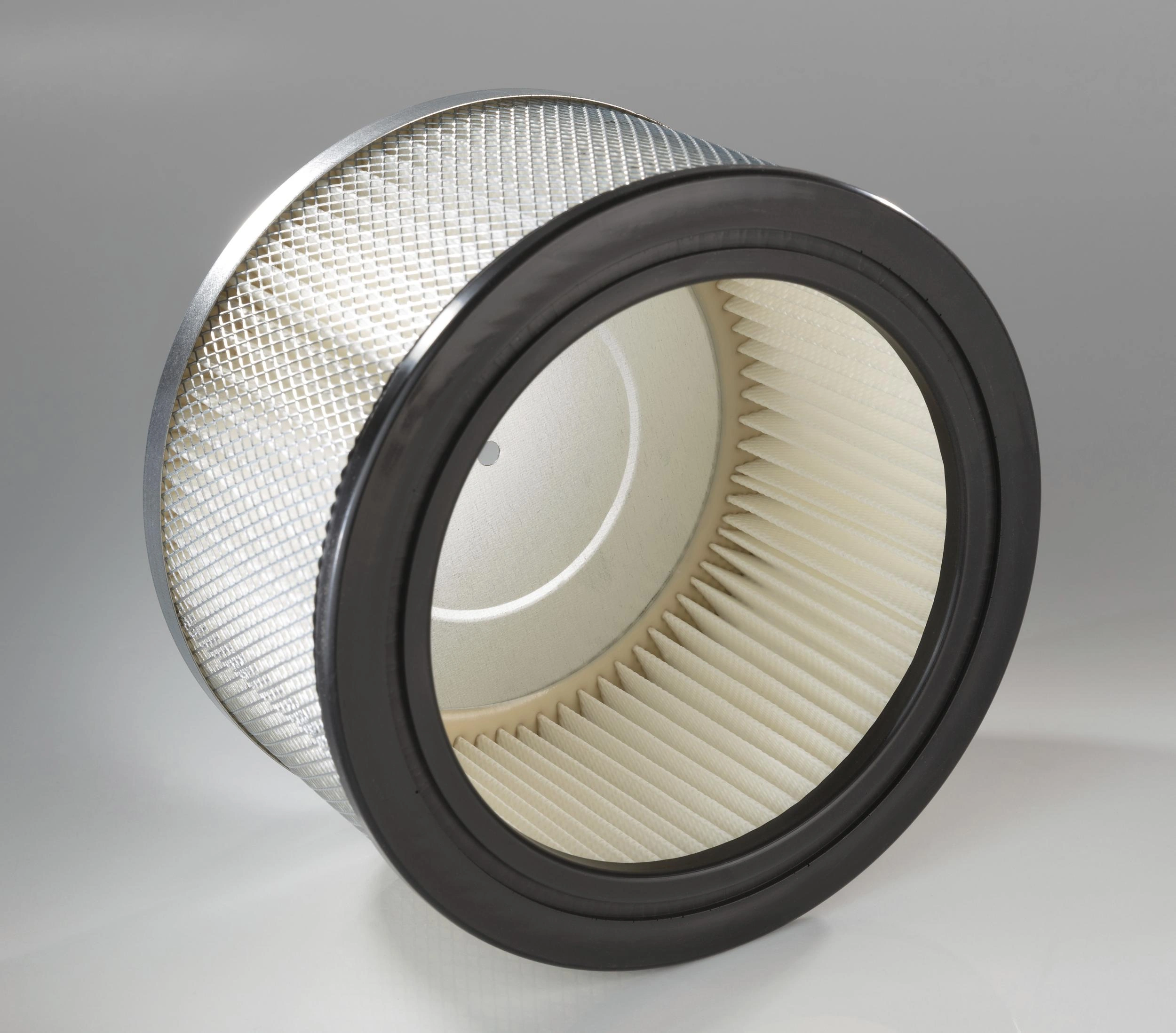 Obraz Ash Vacuum Cleaner