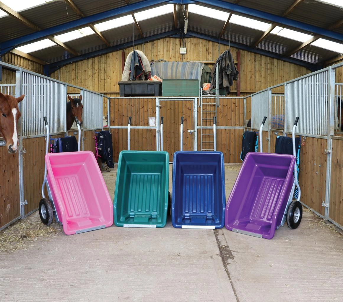 Obraz Bale Carts, Swiss Carts