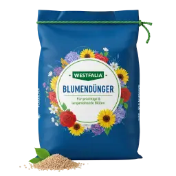 Obraz Flower Fertilizer
