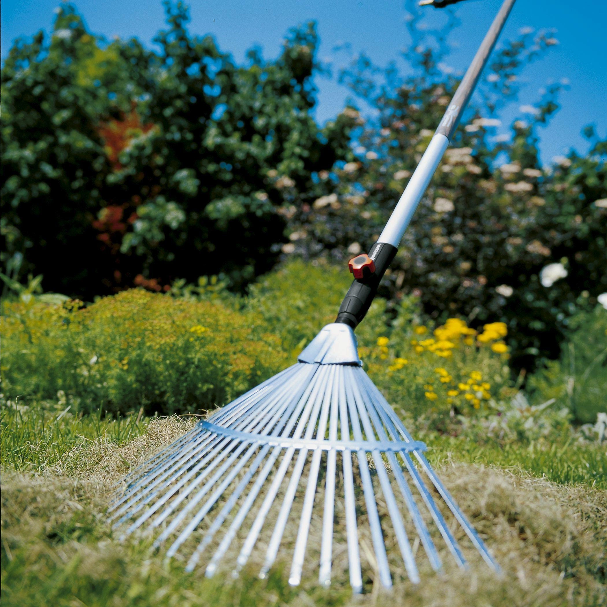 Obraz Fan Broom