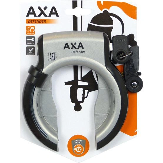Obraz Bicycle Locks