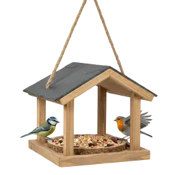 Obraz Bird Feeders