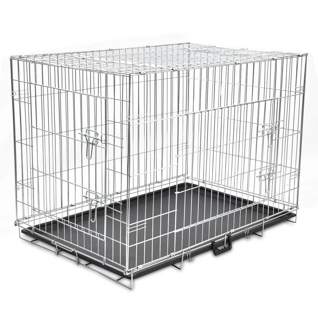 Obraz Dog Supplies