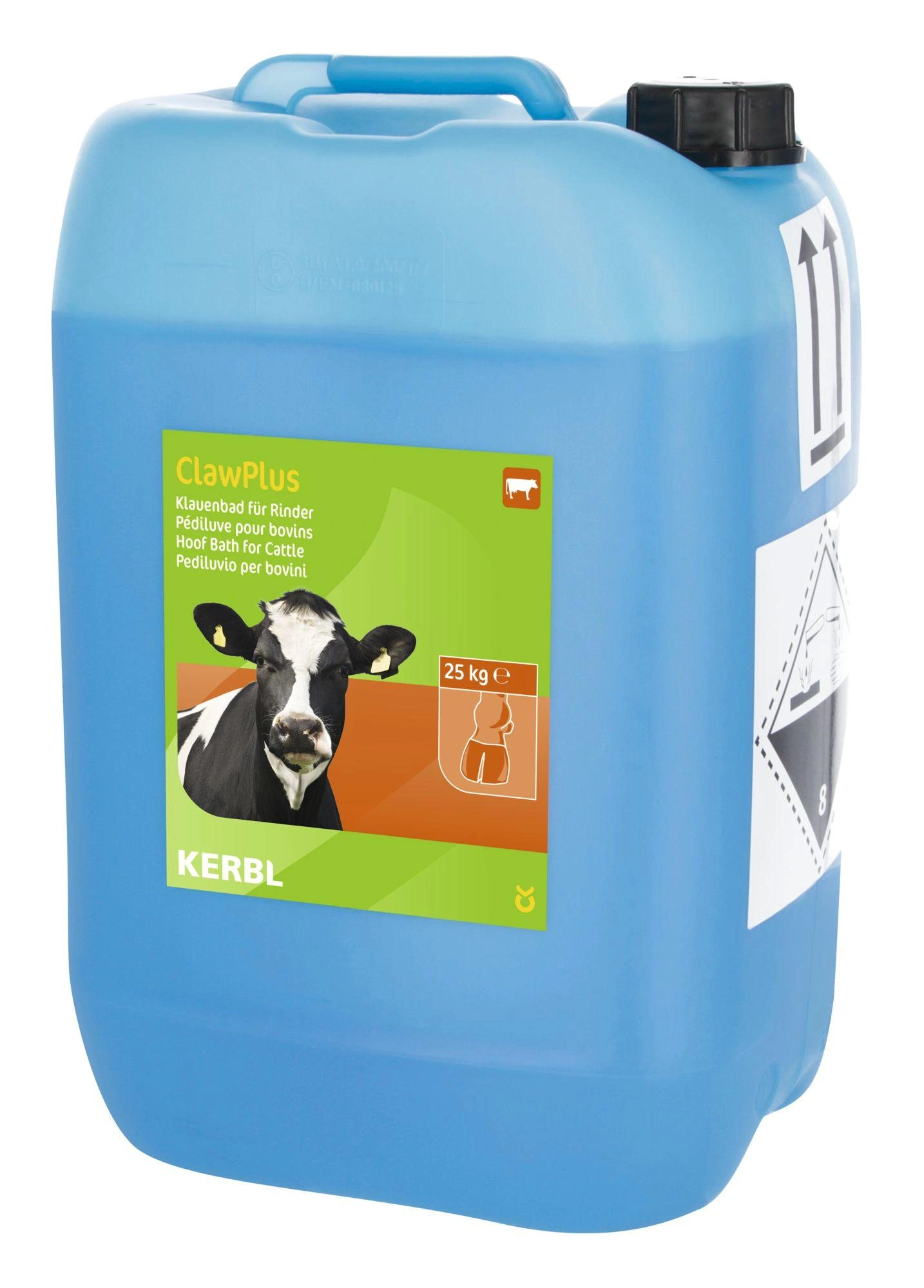 Obraz Hoof Care