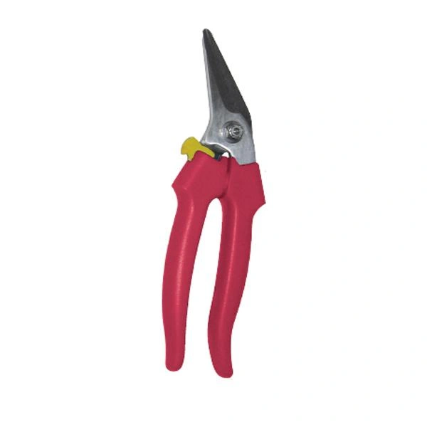 Obraz Bone Saws
