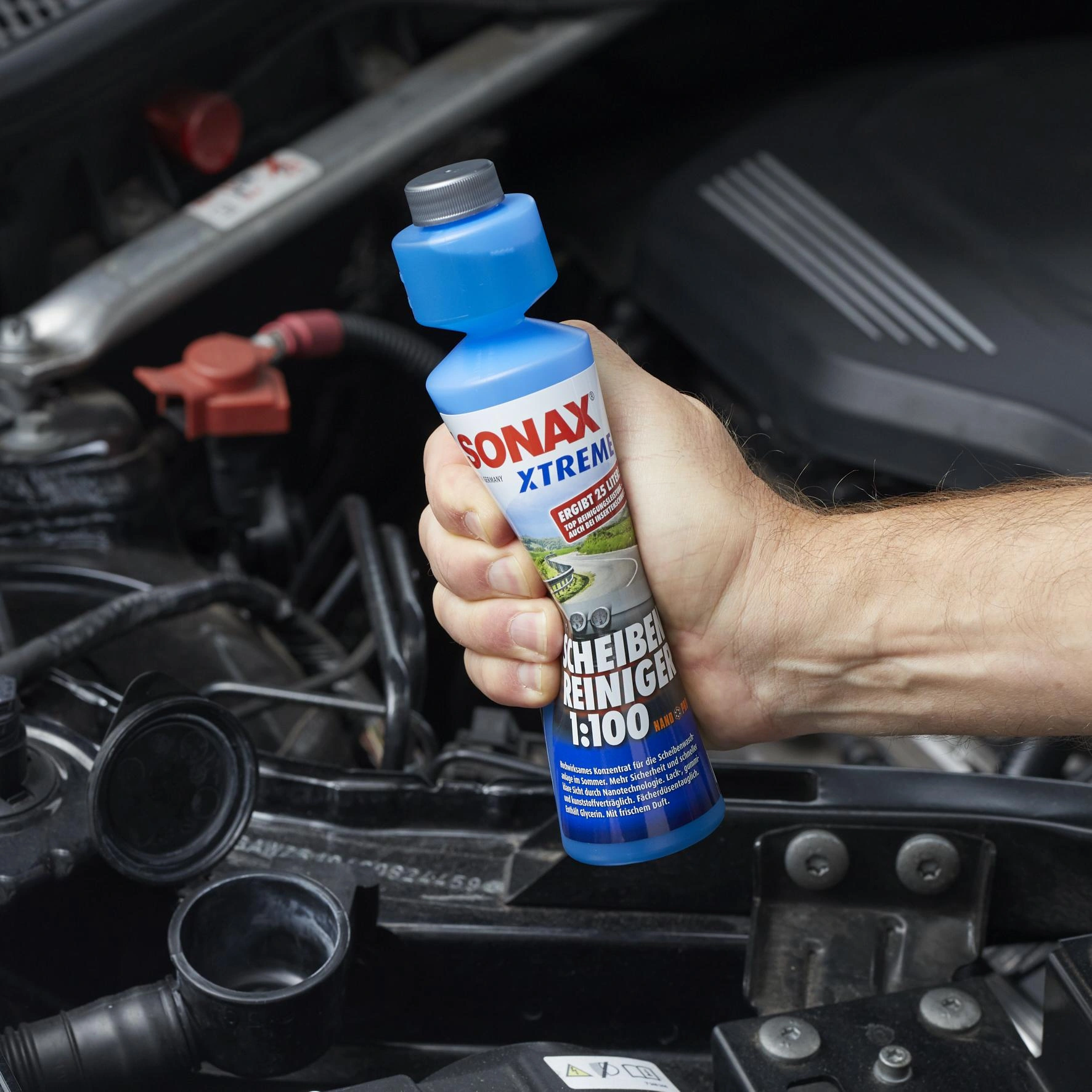 Obraz Window Care