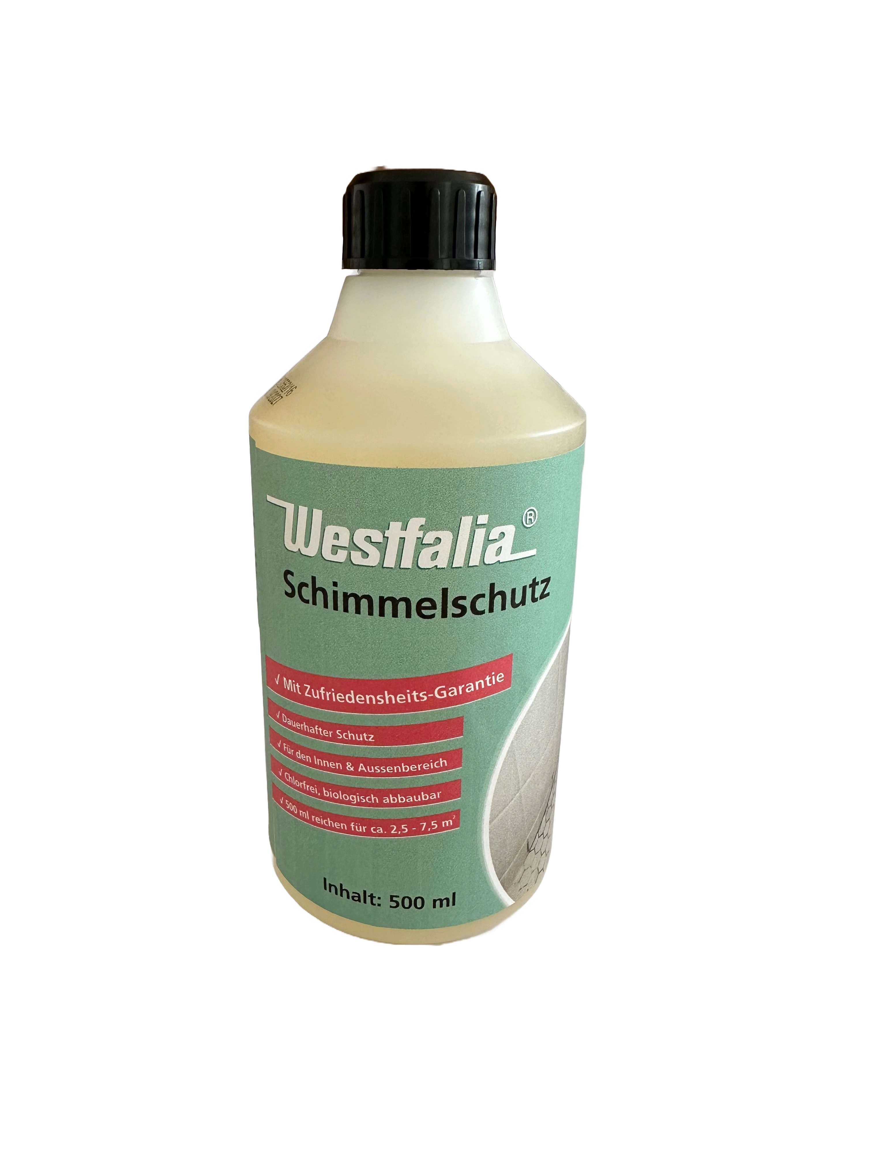 Obraz Mold Remover