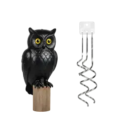 Obraz Bird Scarer, Pigeon Scarer