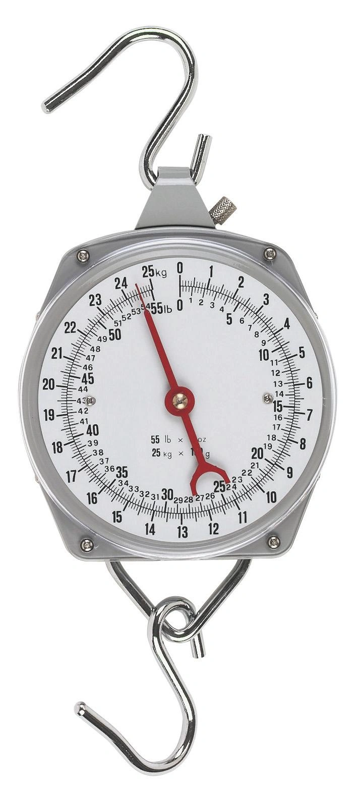 Obraz Scales