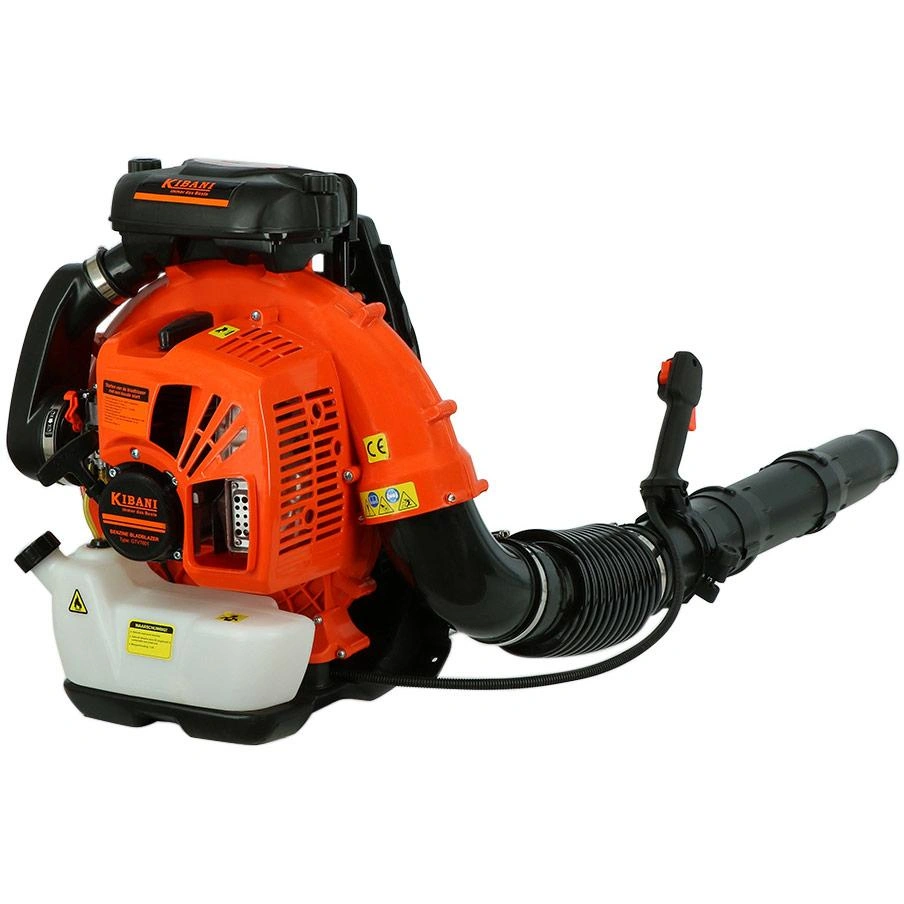Obraz Petrol Leaf Vacuum, Blower