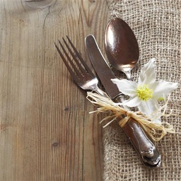Obraz Schmuck & Uhren Pflege