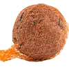 Obraz Meisenknödel mit Netz