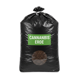 Obraz Cannabis Erde