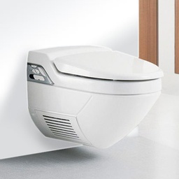 Obraz WC-Reiniger