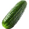 Obraz Gurken + Zuchini