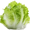 Obraz Salat + Kohl