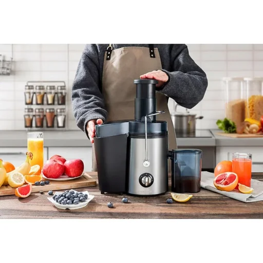 "Juicer - 450W - Stainless steel image"