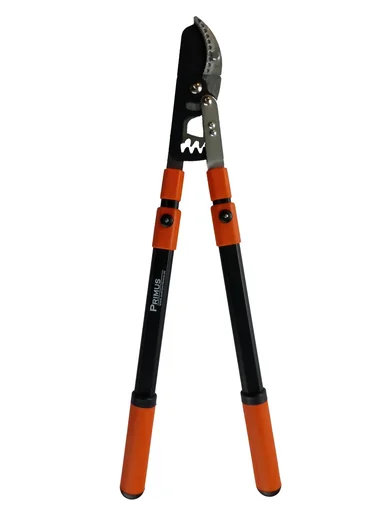 "Power geared pruning shears image"