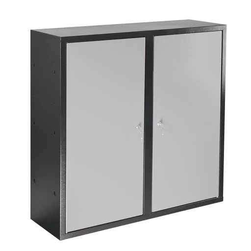 "Wall cabinet with 2 doors and perforated panel image"