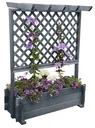 Frames with Pergola 102/200, Grau