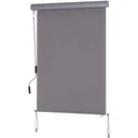Window blind with hand crank
