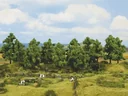 Deciduous trees, 16 pieces, 4 - 10 cm high
