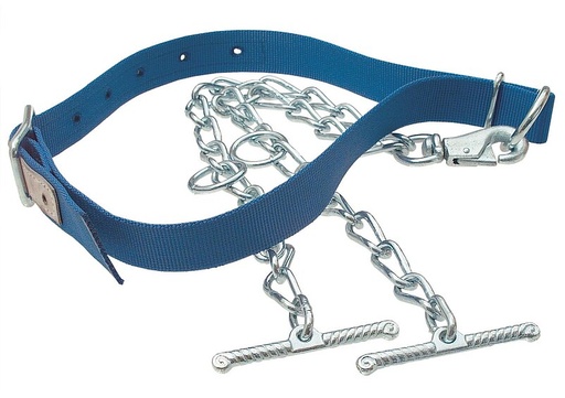 "Neck strap for tying cows, cattle, young animals, made of Trevira image"