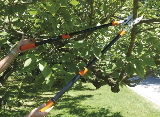 "Branch anvil ratchet shears image"