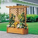 Shelves with Pergola