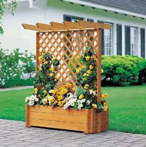 "Shelves with Pergola image"
