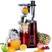 "Juicer for vegetables and fruit image"