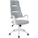 Executive chair with rocking function