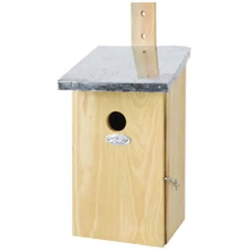 "Observation nest box image"