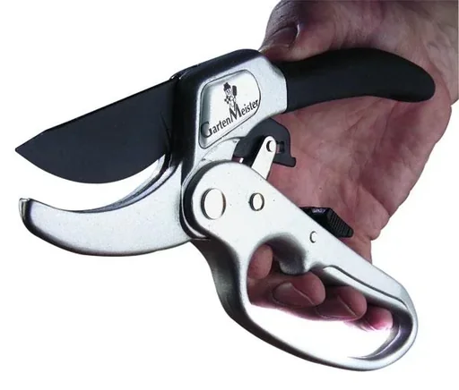 "Branch/ratchet shears image"